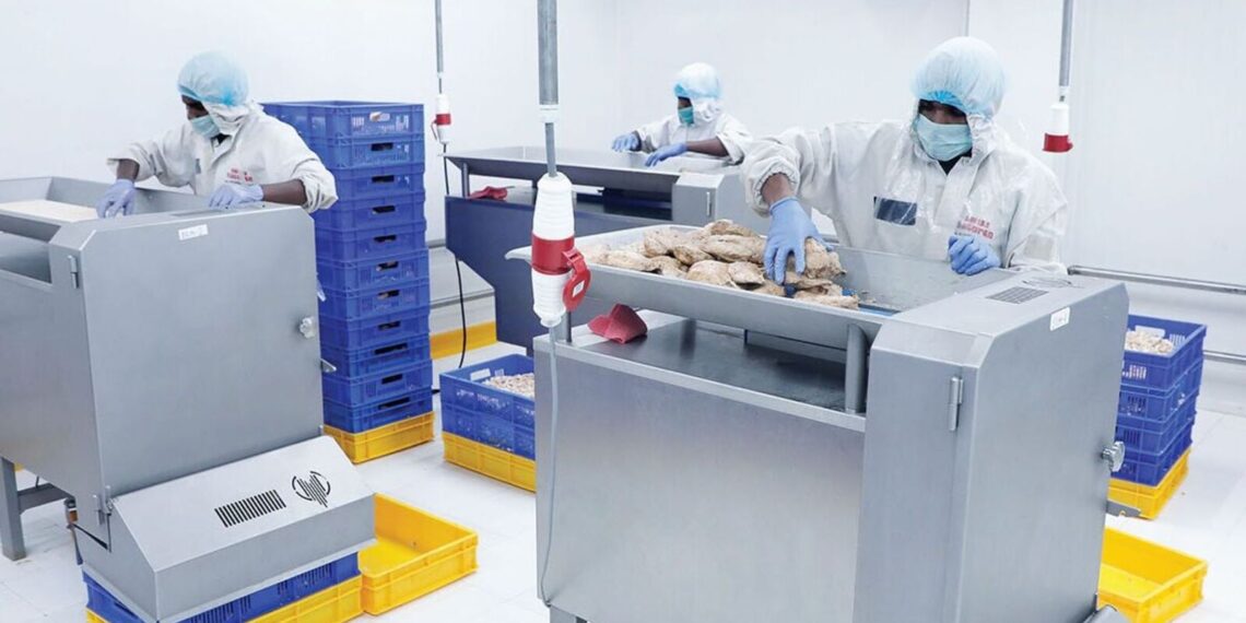 Chatha Foods IPO allotment to be finalised today; check latest GMP, 4 steps to check status
