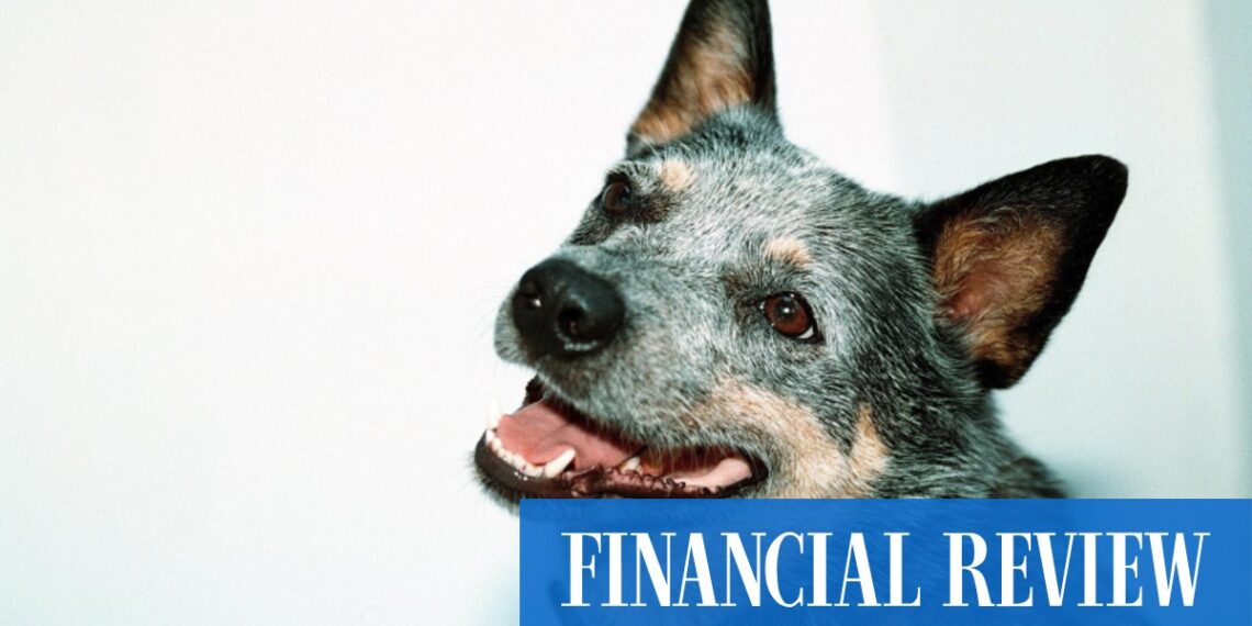 Danish pet food giant laps up local producer Staughton Group
