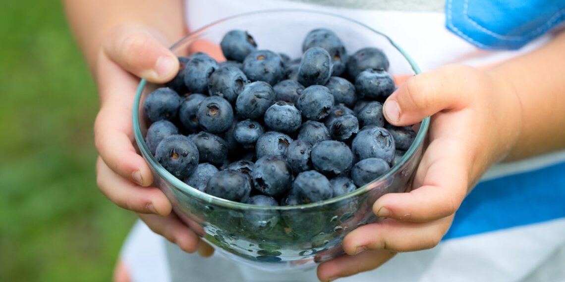 EWG's 2024 Shopper's Guide to Pesticides in Produce