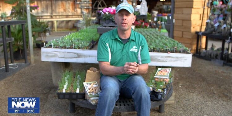 Stan's Gardening A-Z: Cool Weather Foods - Erie News Now