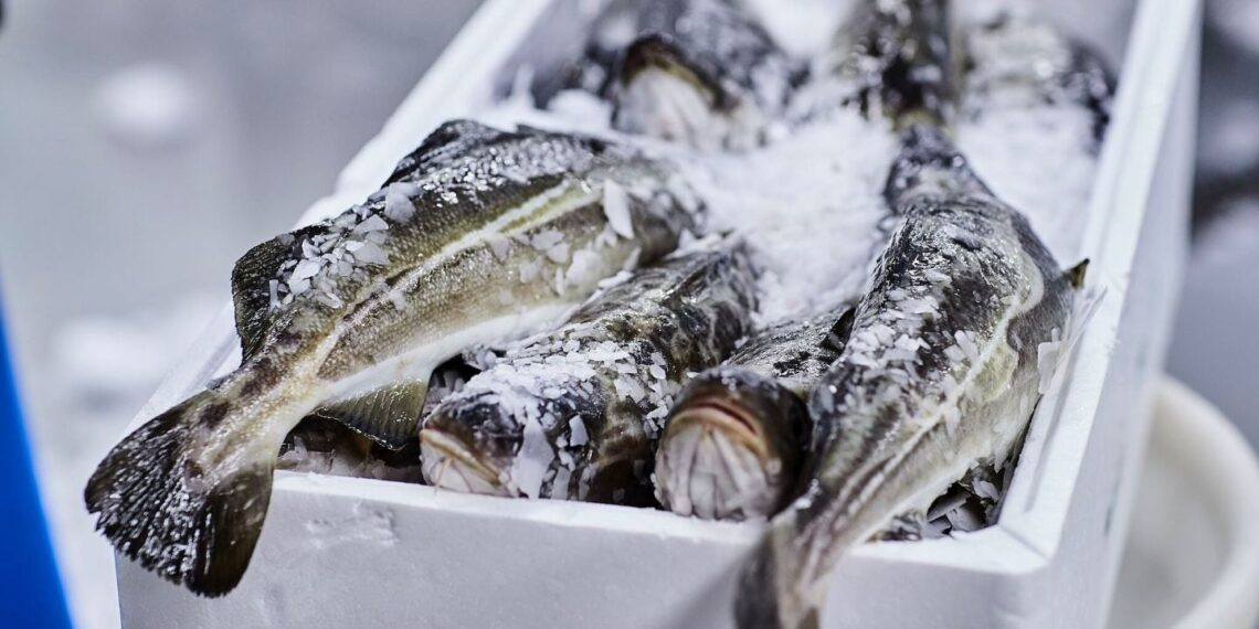 High Liner Foods invests $5m in Norwegian cod group