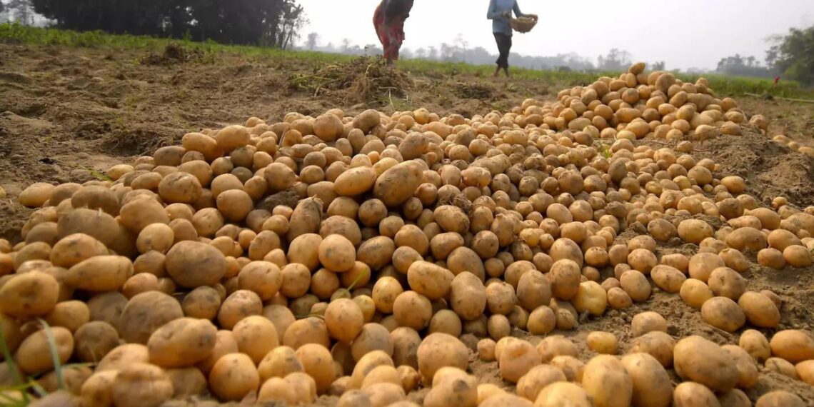 HyFun Foods to invest Rs 850 crore for three potato processing plants in Gujarat