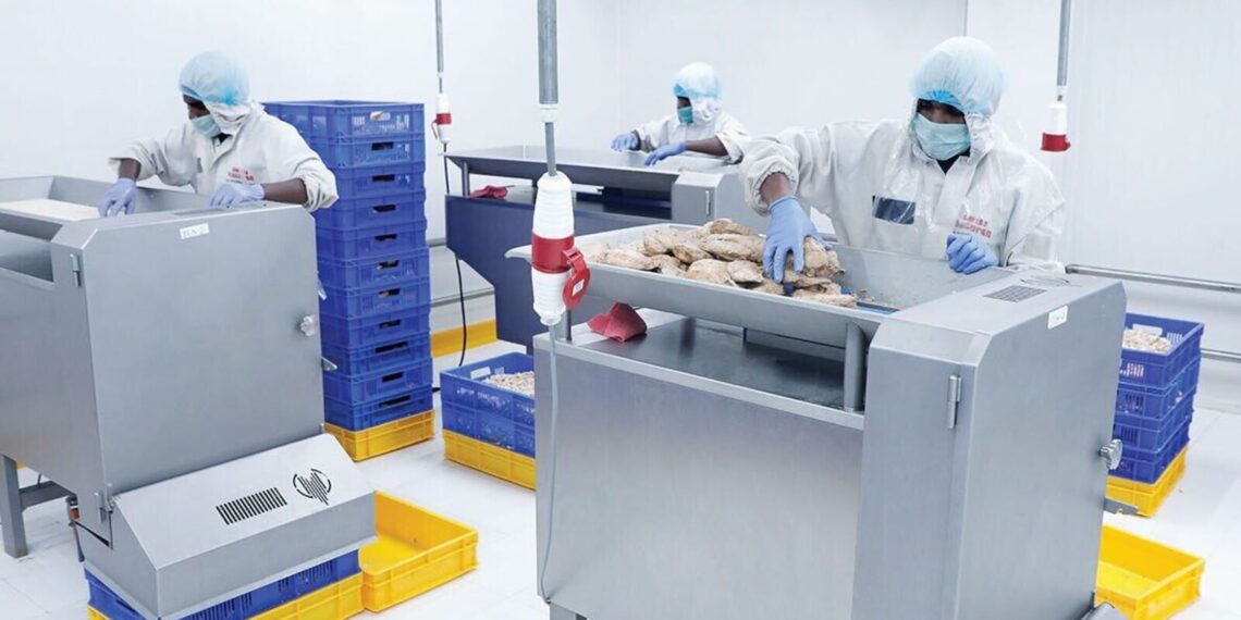 Chatha Foods IPO: Issue subscribed 1.25 times on day 1, retail & NII portion fully booked, check GMP and other details