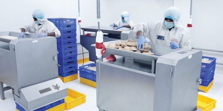 Chatha Foods IPO: Issue subscribed 1.25 times on day 1, retail & NII portion fully booked, check GMP and other details