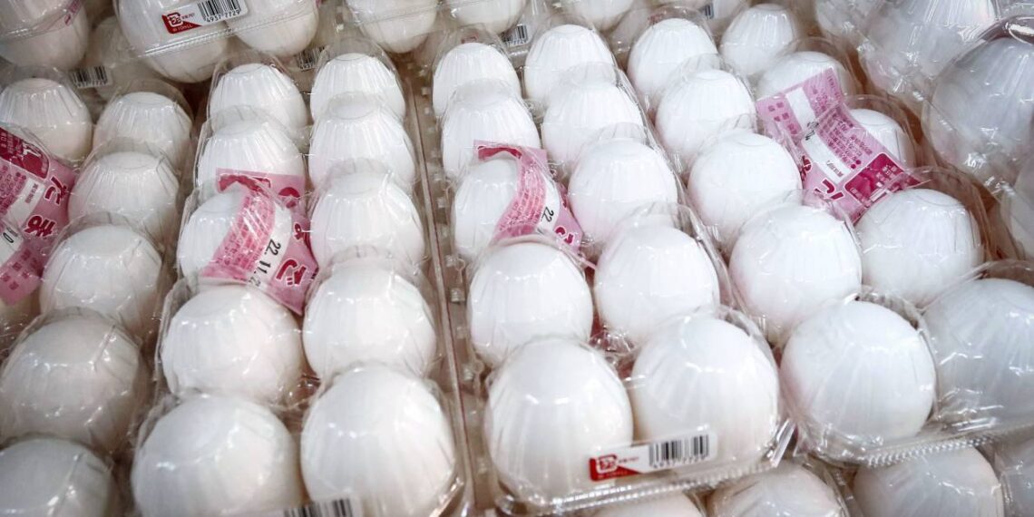 Japanese hens deserve equal concern from Japan's food sellers