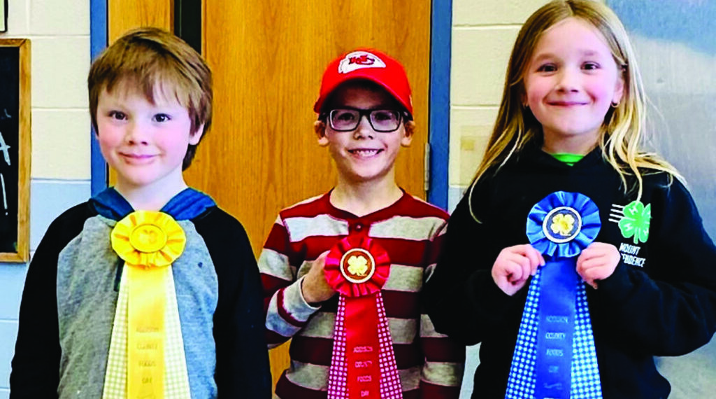 Local 4-H'ers do well at Foods Day