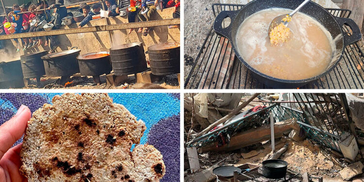 The Daily Hunt for Food in Gaza