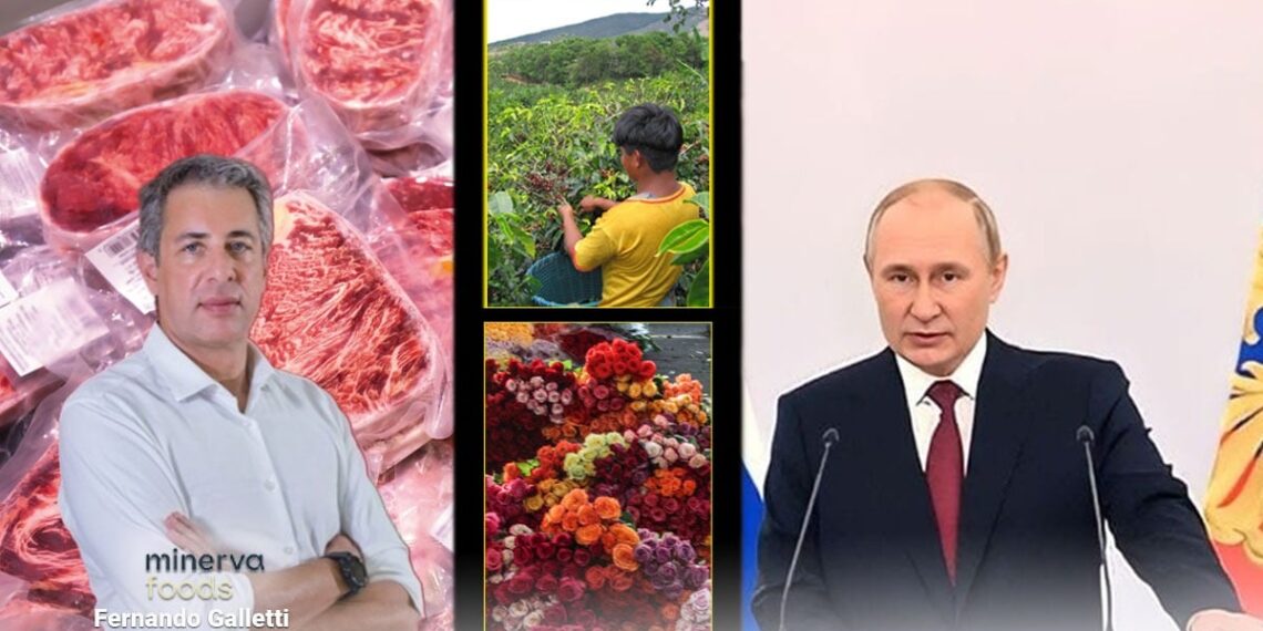 Minerva Foods, la empresa que está poniendo a Rusia a comer carne Colombiana