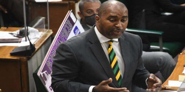 Robinson says removal of GCT on imported raw foods could devastate local farmers