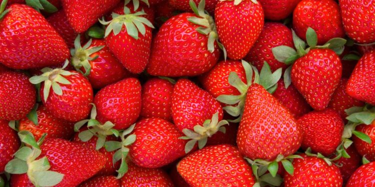 The 2024 ‘Dirty Dozen’ list of foods revealed