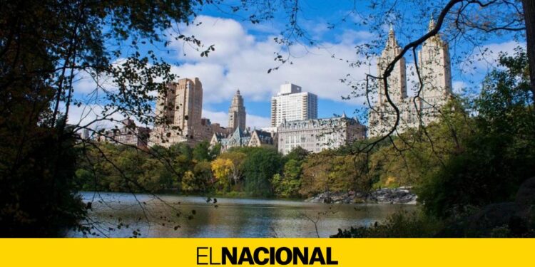 El 86% de la población reserva viajes online