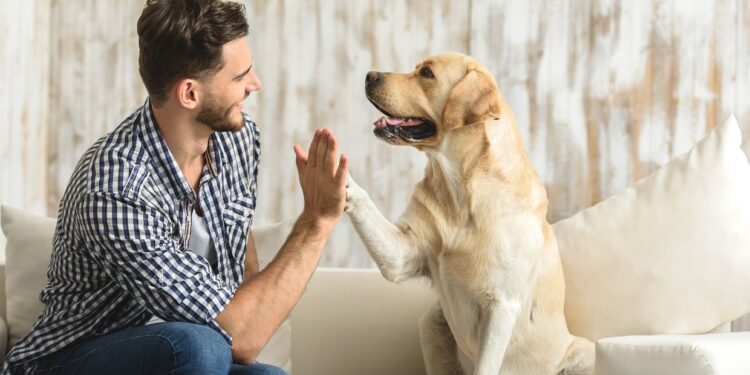 el pet sitting marca tendencia entre viajeros