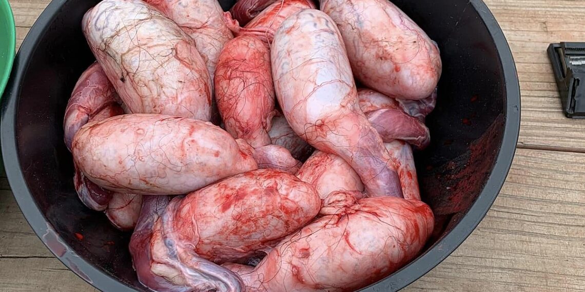 The 8 Disgusting Foods People Eat In North Dakota
