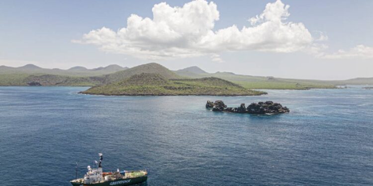 Principales tendencias de viaje en 2024