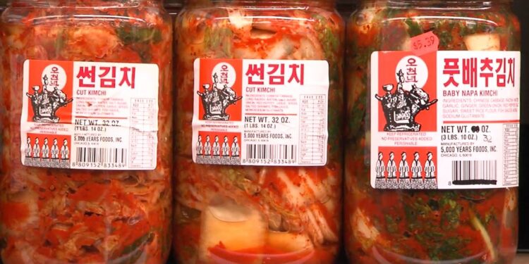 Benefits of Fermented Food for your Mental Health – Cleveland Clinic Newsroom
