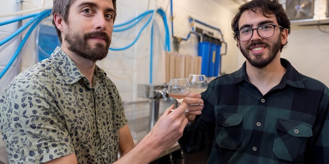 Food scientists show rice malt has potential to play a bigger role in beer