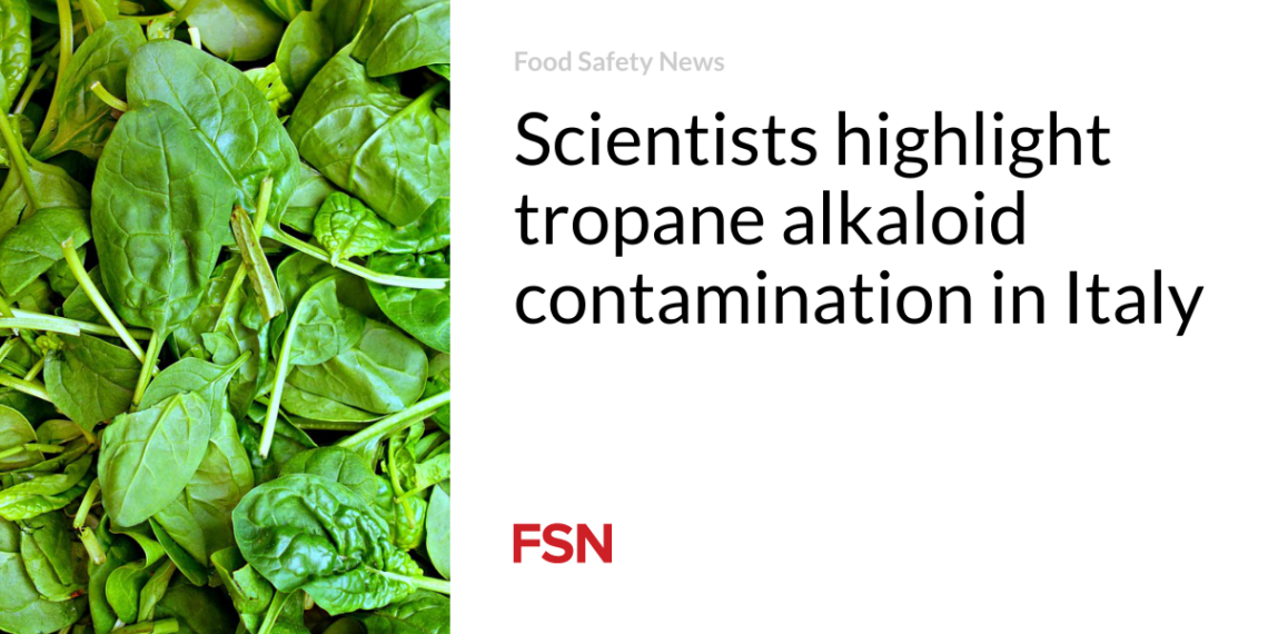 Scientists highlight tropane alkaloid contamination in Italy