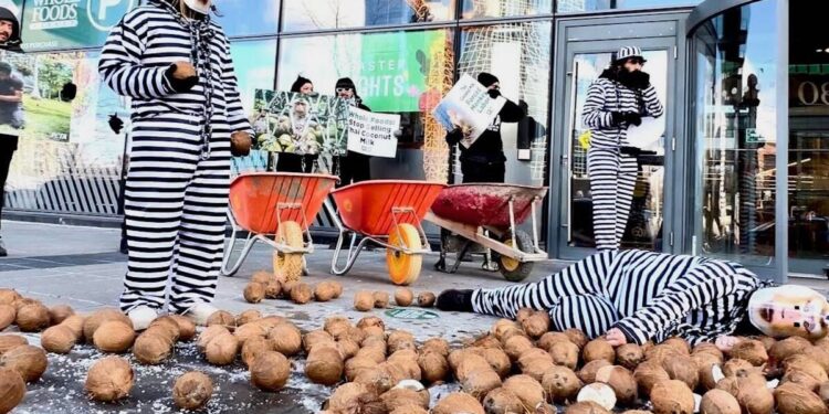 Protesters dressed as monkeys trash Whole Foods store in Toronto with coconuts