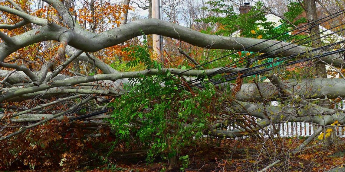 Be food safe during spring storms