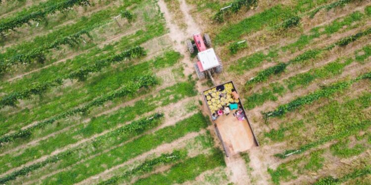 ‘Can significantly bolster food security’