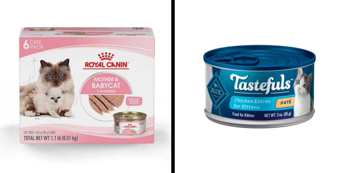 Best Kitten Foods In 2024, Vet-Approved Selection