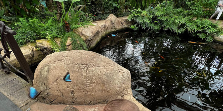 Mejores ciudades españolas para viajar en familia