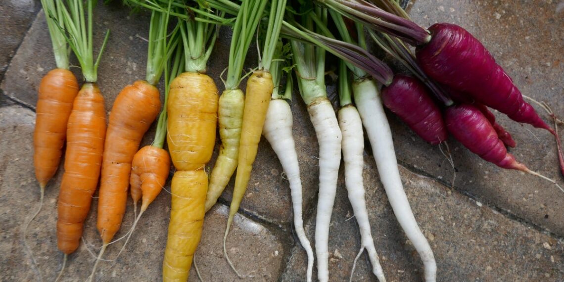 Loudonville Farmers Market to offer fresh and healthy foods