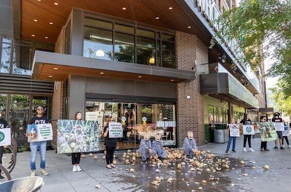 Chained PETA ‘Monkeys’ to Dump 300 Coconuts at Yonge Street Whole Foods Over Ties to Forced Labor