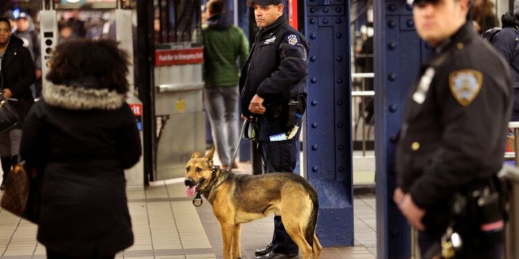 NY enviará 800 policías más al metro para impedir la evasión en el pago de viajes