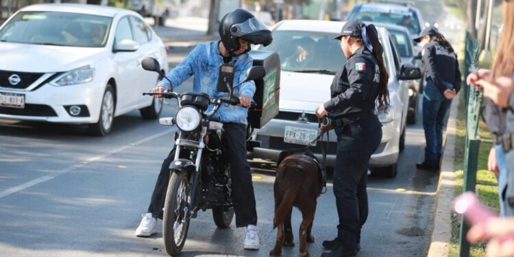 Como parte de la estrategia integral para la prevención de accidentes viales en la ciudad, la Comisaría de Seguridad y Protección Ciudadana realiza filtros de proximidad para dar recomendaciones a los automovilistas.