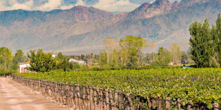 Vacaciones en pocos días: Paquetes para escapadas