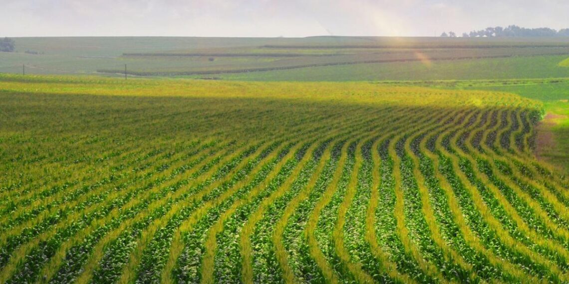 Wisconsin nonprofit celebrates U.S. agriculture with new certification for foods | State news