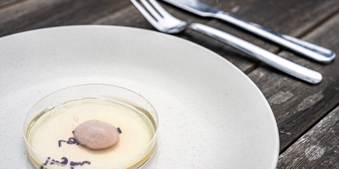 Hacking the genome of fungi for smart foods of the future