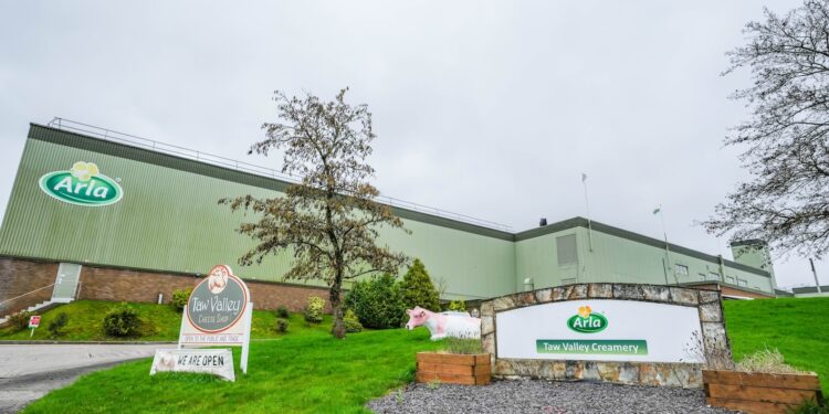 Arla Foods reveals plans to become major UK exporter of mozzarella