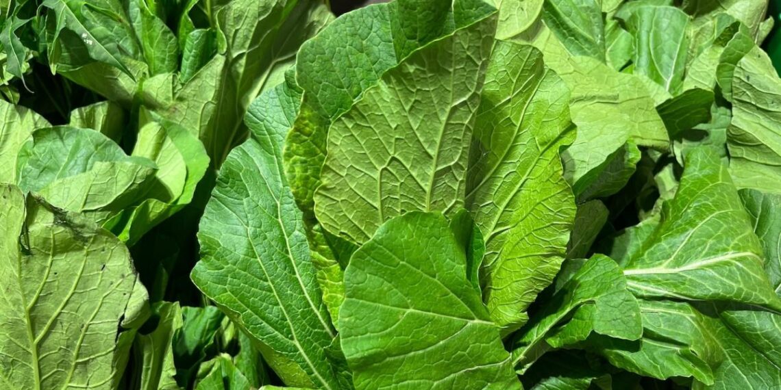 Why Bayer and the Gates Foundation are using CRISPR to reduce food's climate impact