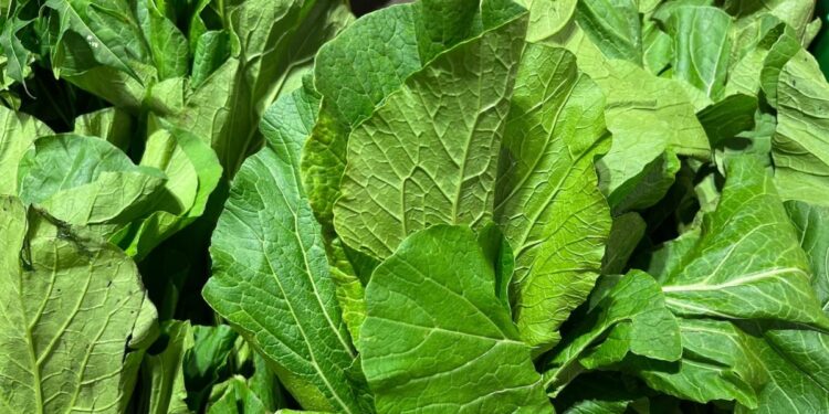 Why Bayer and the Gates Foundation are using CRISPR to reduce food's climate impact