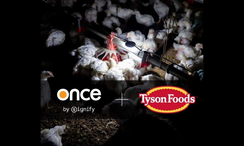 Signify, Tyson Foods team to test new lighting systems