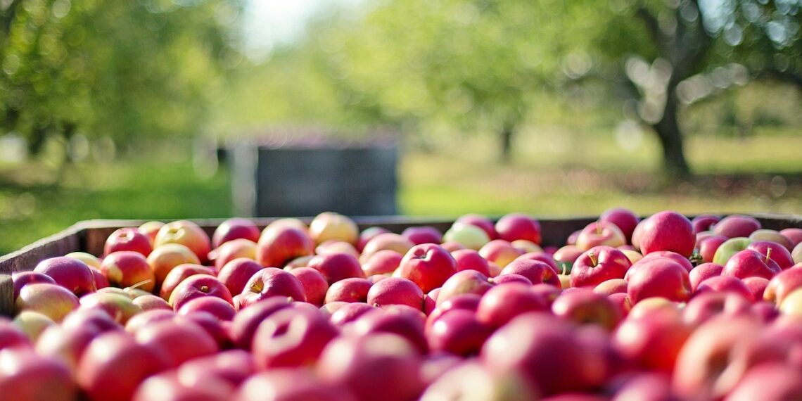 Shaheen Co-Sponsored Eat Local Foods Act