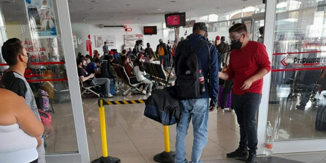 Transporte turístico privado prevé incremento de viajes de un 10%