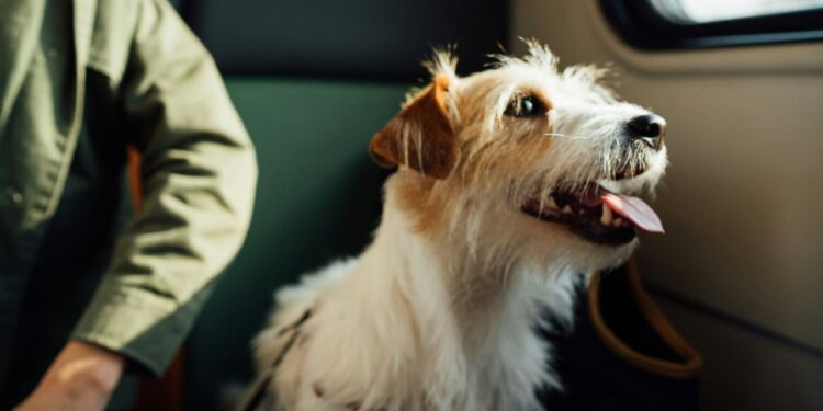 Architectural Digest México y Latinoamérica