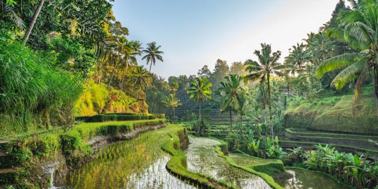 DESTINOS IMPRESCINDIBLES | 8 viajes que ya deberías haber hecho