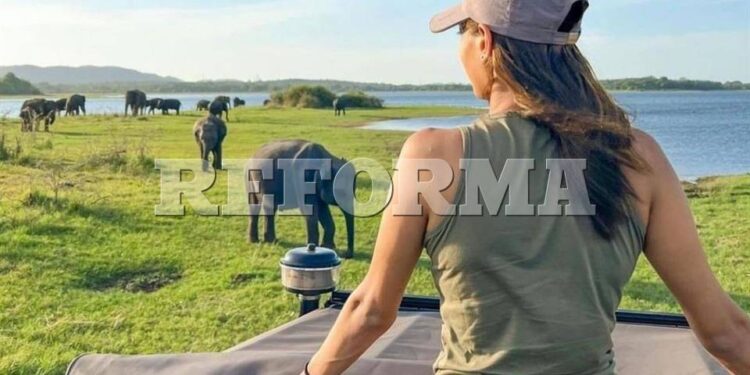 ¡Mujer, empodérate! Sigue estos consejos para viajar sola