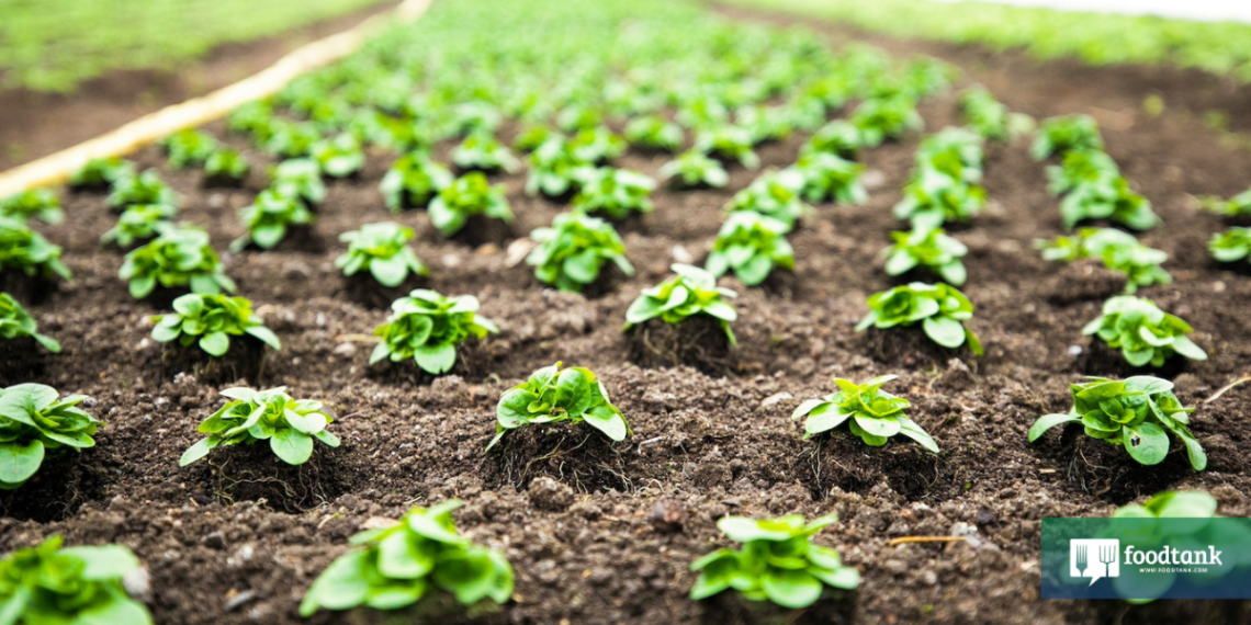 Where Are You Reading This? That’s Where Food System Transformation Is Happening – Food Tank