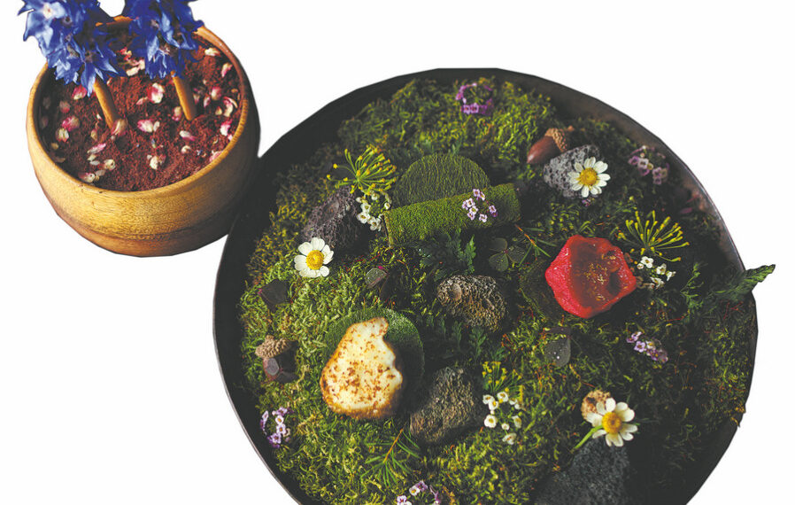An appetizing approach to food