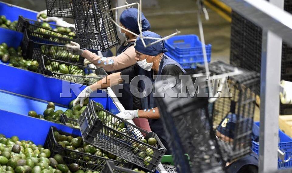 Detectan violación de derechos laborales en Fresh Foods