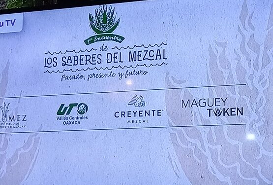 El primer encuentro “Saberes del Mezcal” promueve la profesionalización del sector mezcalero