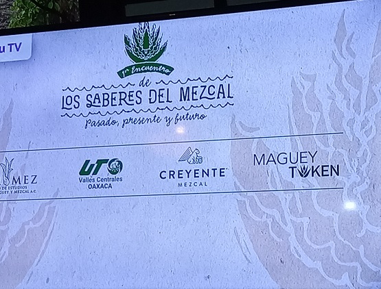El primer encuentro “Saberes del Mezcal” promueve la profesionalización del sector mezcalero