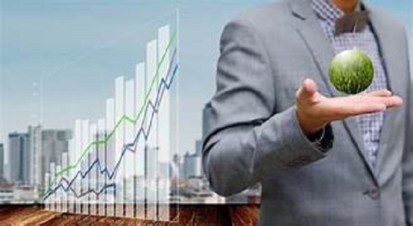 Materializar la sostenibilidad: clave para el éxito de las empresas