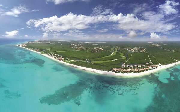 El avistamiento de aves, una experiencia imperdible en el Caribe Mexicano