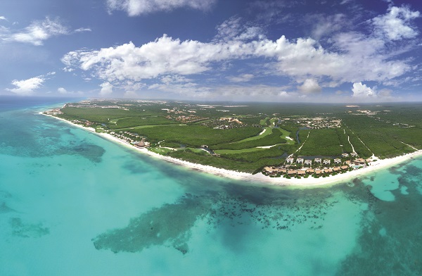 El avistamiento de aves, una experiencia imperdible en el Caribe Mexicano